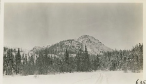 Image of Mt. Henderson--track leading to water hole